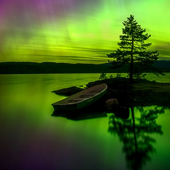 Meet your Posher, Barb - Picture 1 of 1